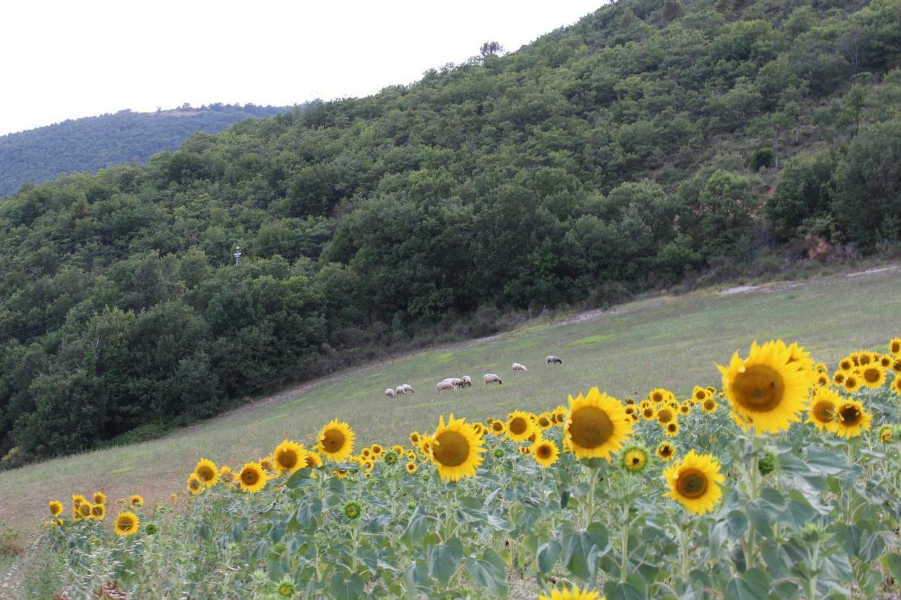 Agriturismo Roccagelli Vallo di Nera Extérieur photo